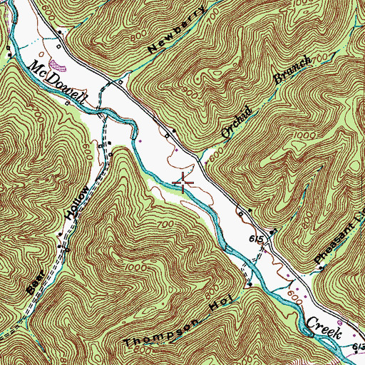 Topographic Map of Orchid Branch, KY