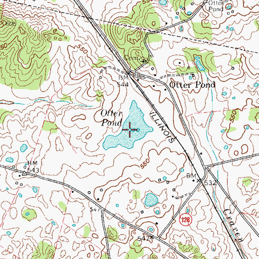 Topographic Map of Otter Pond, KY