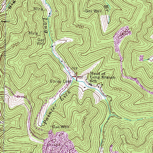 Topographic Map of Painter Lick, KY