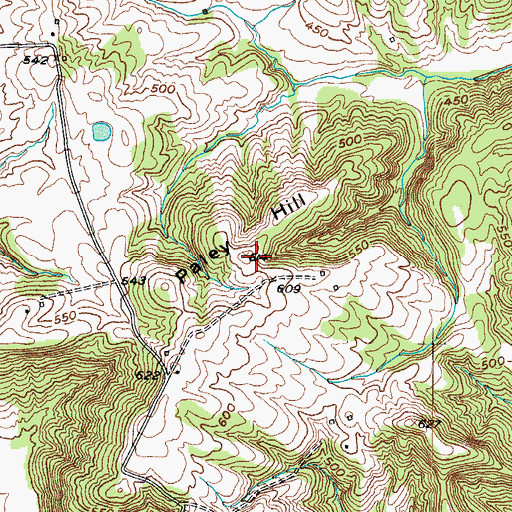 Topographic Map of Paley Hill, KY