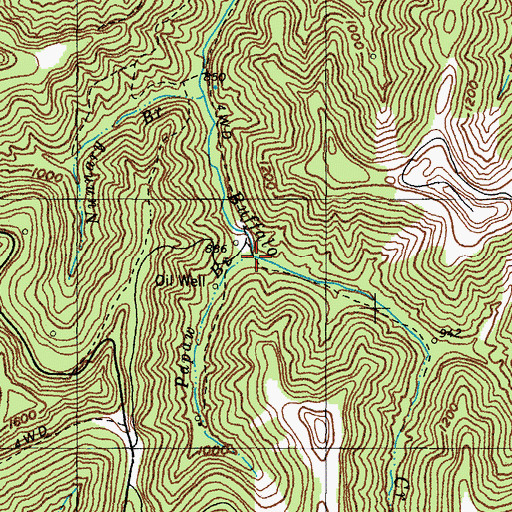 Topographic Map of Papaw Branch, KY
