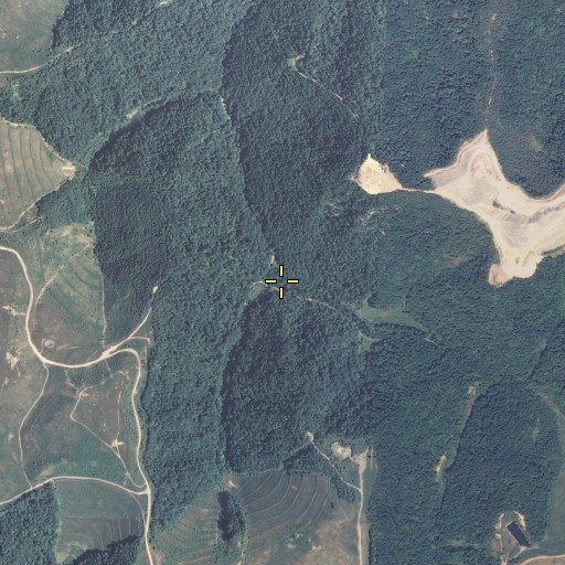 Aerial/Satellite Image of Papaw Branch, KY