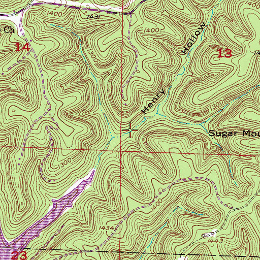 Topographic Map of Henry Hollow, AR