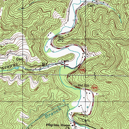Topographic Map of Parsons Branch, KY