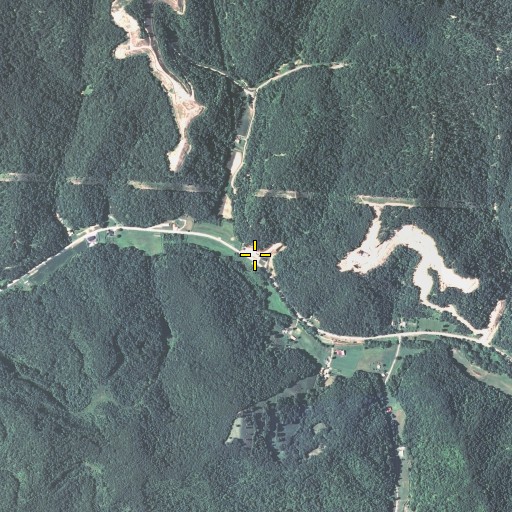 Aerial/Satellite Image of Pasture Branch, KY