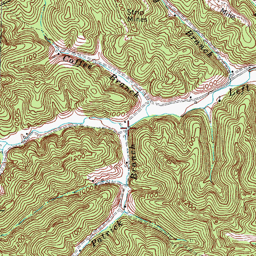 Topographic Map of Patrick Branch, KY