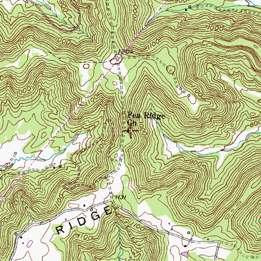 Topographic Map of Pea Ridge Church, KY