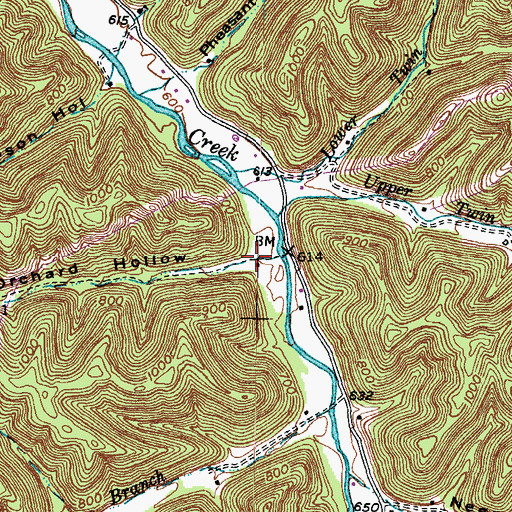 Topographic Map of Peach Orchard Hollow, KY