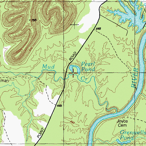 Topographic Map of Pearl Pond, KY