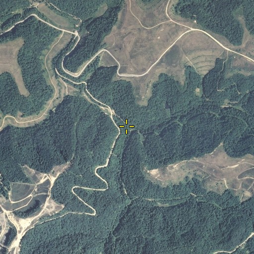 Aerial/Satellite Image of Peg Fork, KY