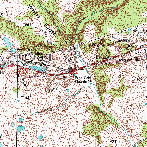 Topographic Map of Penn Salt Fluorite Mill, KY