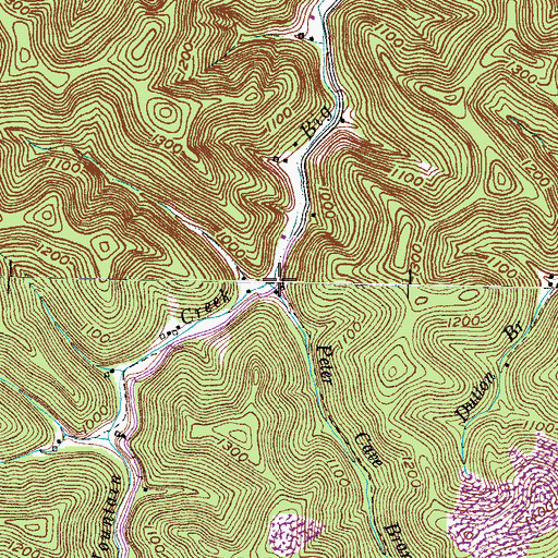 Topographic Map of Peter Cave Branch, KY