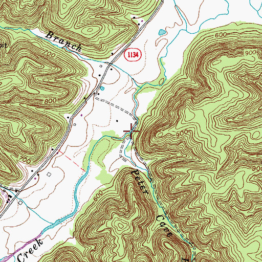 Topographic Map of Peter Cave Branch, KY