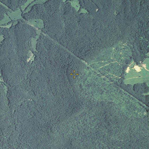 Aerial/Satellite Image of Peter Mountain, KY