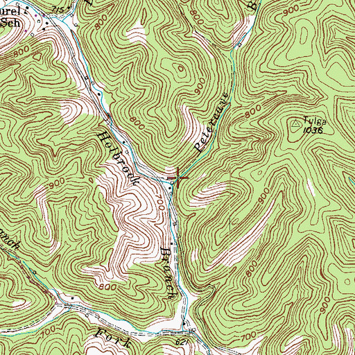 Topographic Map of Petercave Branch, KY