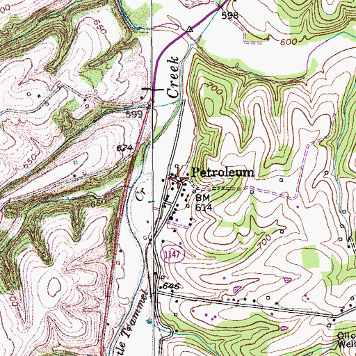 Topographic Map of Petroleum, KY