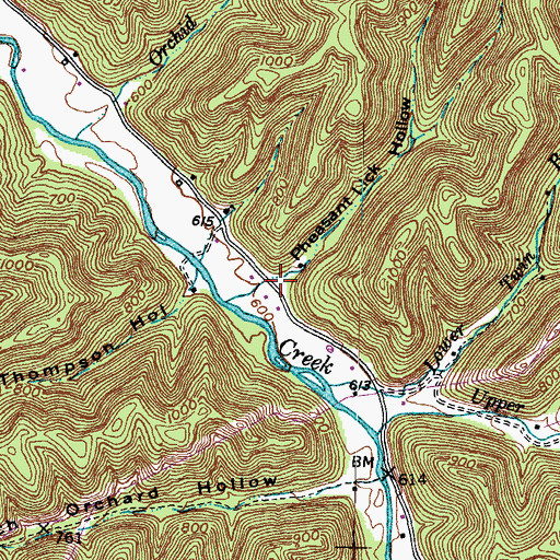 Topographic Map of Pheasant Lick Hollow, KY