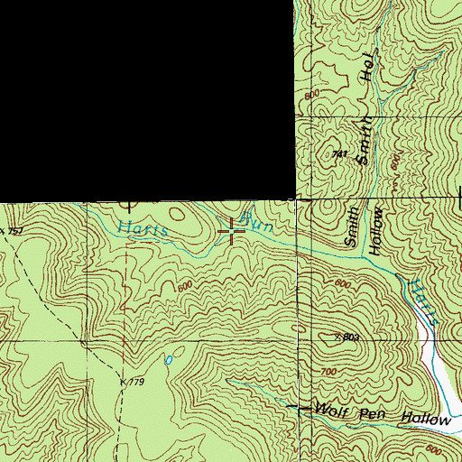 Topographic Map of Picnic Hollow, KY