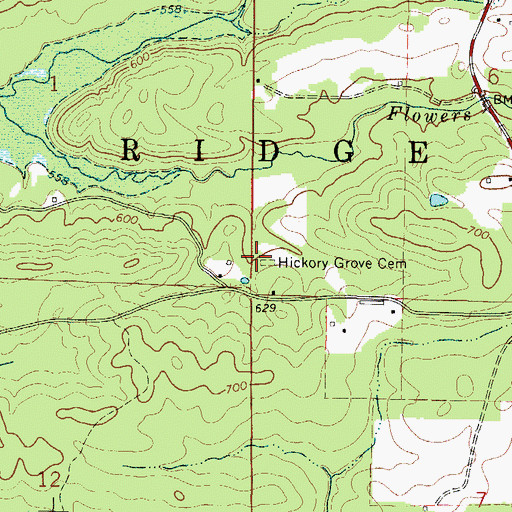 Topographic Map of Hickory Grove Cemetery, AR