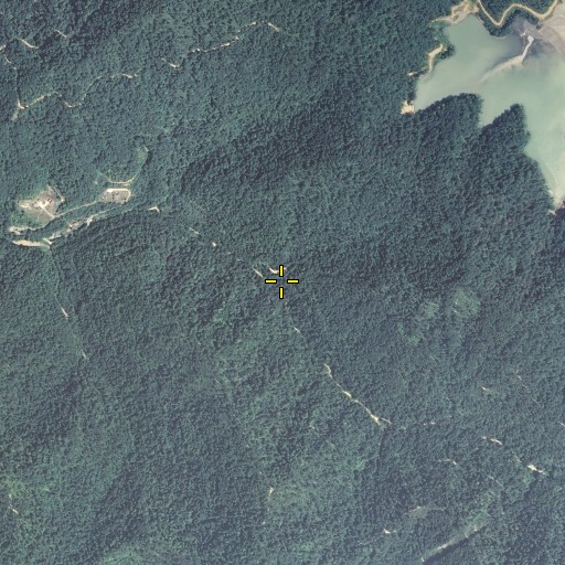 Aerial/Satellite Image of Pigpen Fork, KY