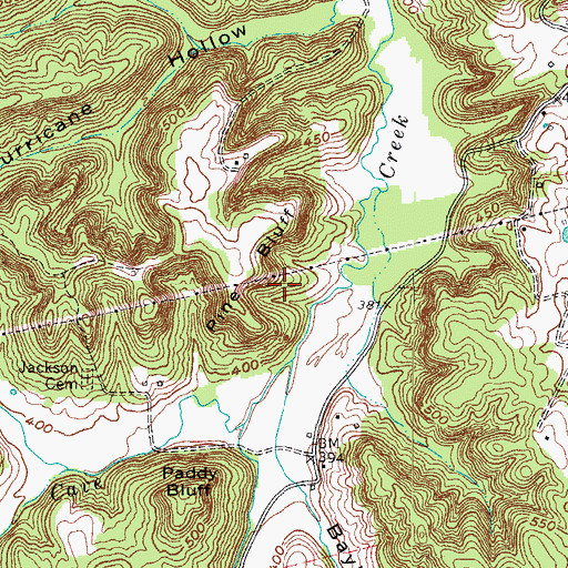 Topographic Map of Pine Bluff, KY