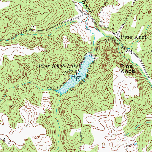 Topographic Map of Pine Knob Lake, KY