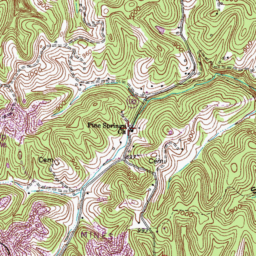 Topographic Map of Pine Springs Church, KY