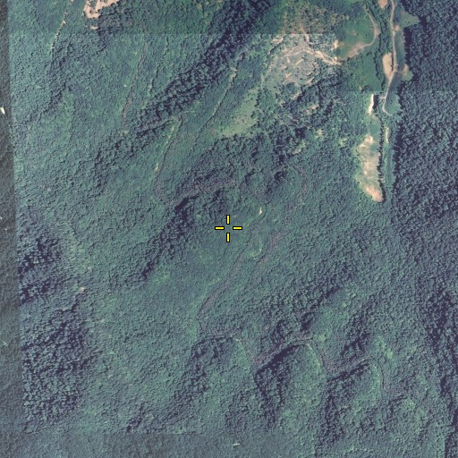 Aerial/Satellite Image of Pine Spur, KY