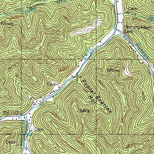 Topographic Map of Poplar Beetree Hollow, KY