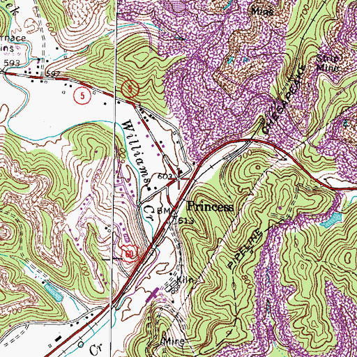 Topographic Map of Princess, KY