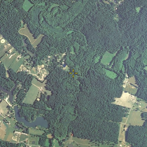Aerial/Satellite Image of Prior Branch, KY