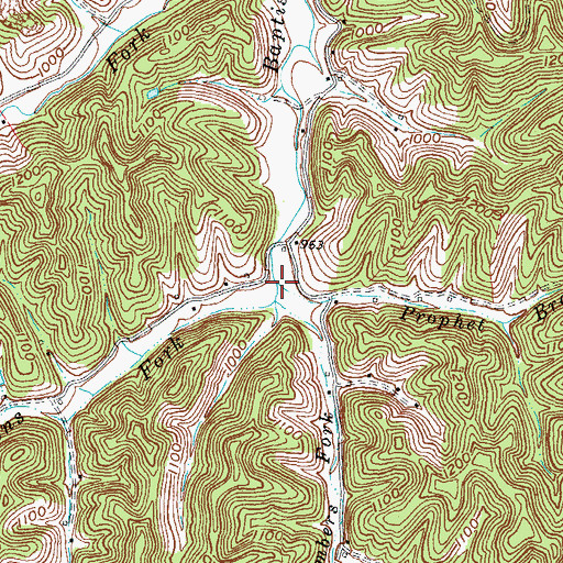 Topographic Map of Prophet Branch, KY