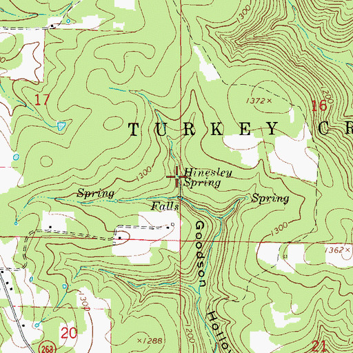 Topographic Map of Hinesley Spring, AR