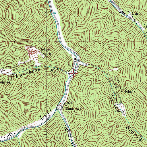 Topographic Map of Puncheon Branch, KY