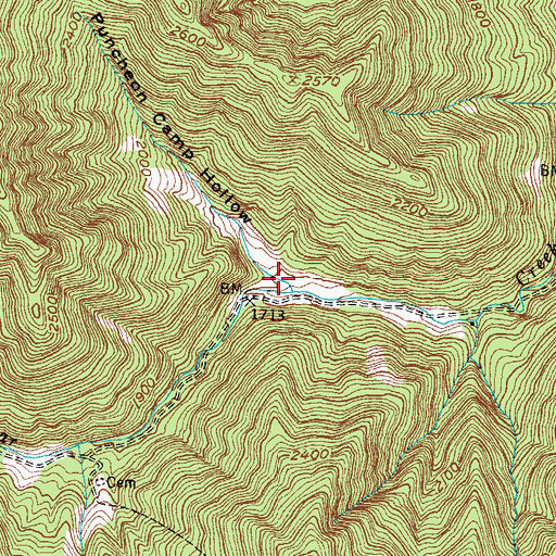Topographic Map of Puncheon Camp Hollow, KY