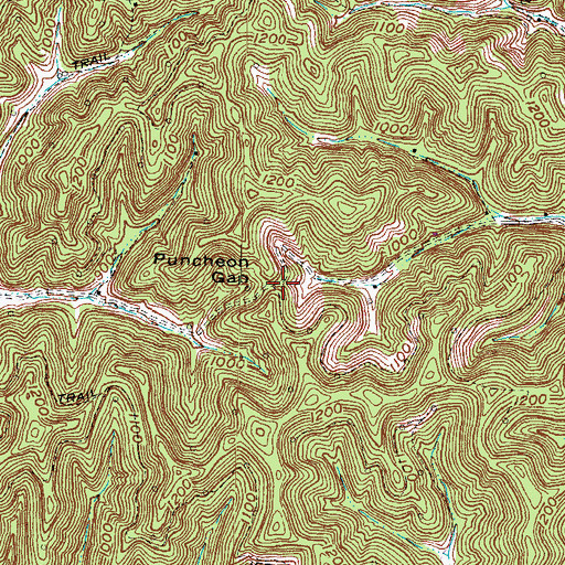 Topographic Map of Puncheon Gap, KY