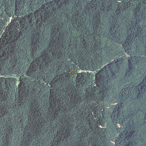 Aerial/Satellite Image of Puncheon Gap, KY