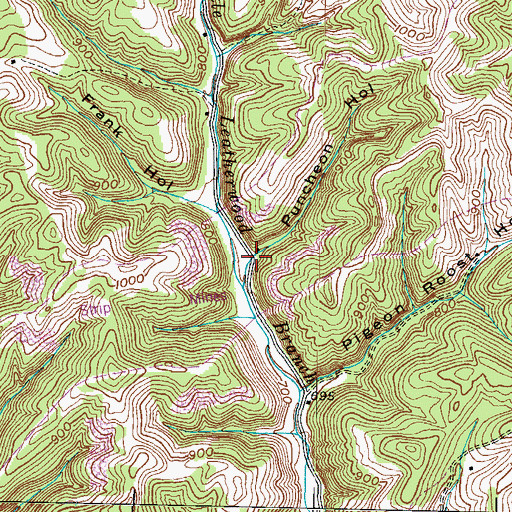Topographic Map of Puncheon Hollow, KY