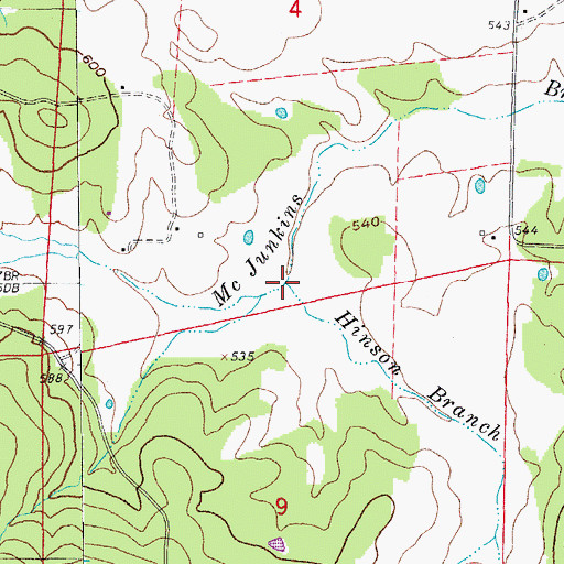 Topographic Map of Hinson Branch, AR