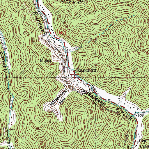Topographic Map of Raccoon, KY