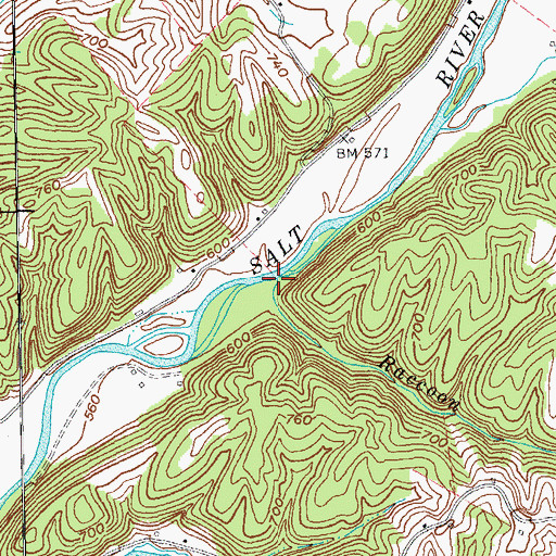 Topographic Map of Raccoon Branch, KY