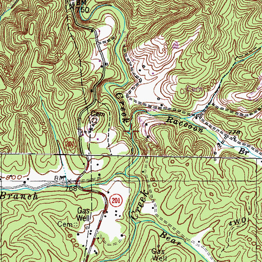 Topographic Map of Raccoon Branch, KY