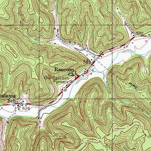 Topographic Map of Raccoon Church, KY
