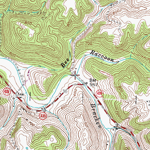 Topographic Map of Raccoon Creek, KY