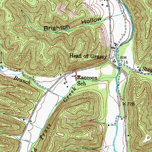 Topographic Map of Raccoon School, KY