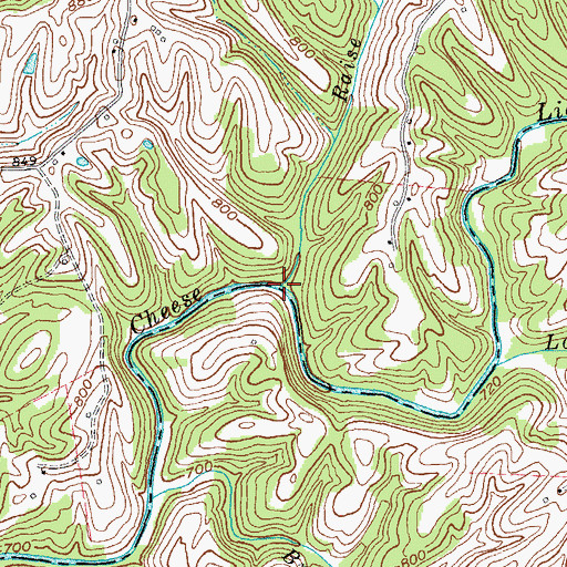 Topographic Map of Raise Branch, KY