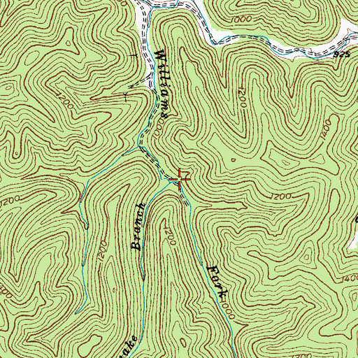 Topographic Map of Rattlesnake Branch, KY