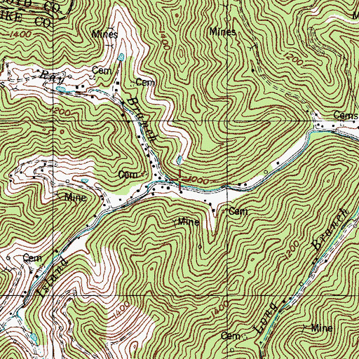 Topographic Map of Ray Branch, KY