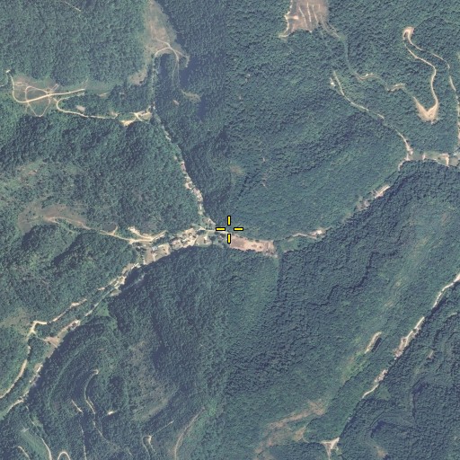 Aerial/Satellite Image of Ray Branch, KY
