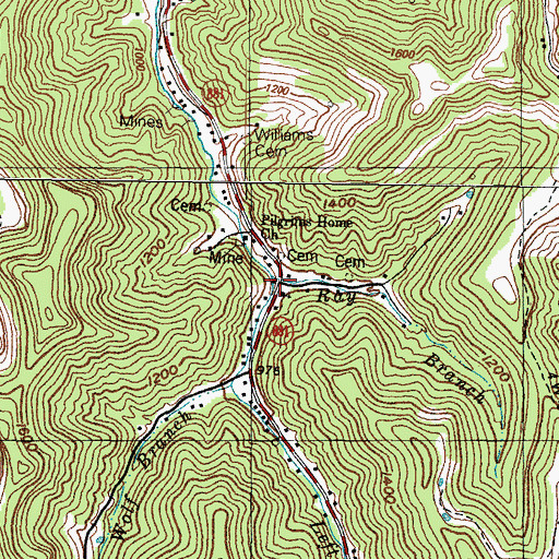 Topographic Map of Ray Branch, KY